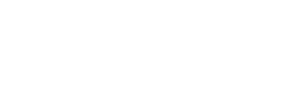 Net CMS Formation